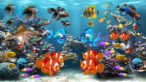 Live Aquarium Wallpapers - Top Free Live Aquarium Backgrounds - WallpaperAccess