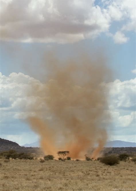 The formation of a small sand-tornado? : r/mildlyinteresting