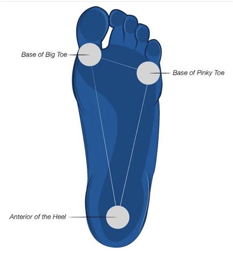 Toe Yoga- Why You Should Get On The Bandwagon — Q4 Physical Therapy ...