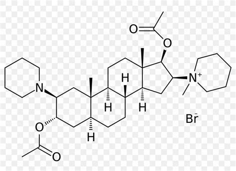 Vecuronium Bromide Pancuronium Bromide Rocuronium Muscle Relaxant, PNG, 1200x873px, Vecuronium ...