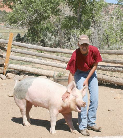 Happy pig | Turn-About Ranch