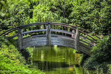 Japanese Garden Bridge by Bartonbo on DeviantArt