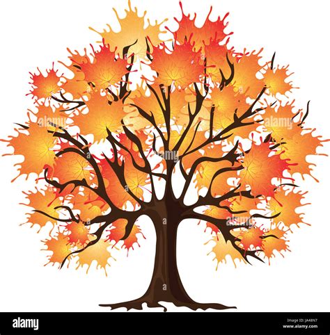 Art autumn tree. Maple Stock Photo - Alamy