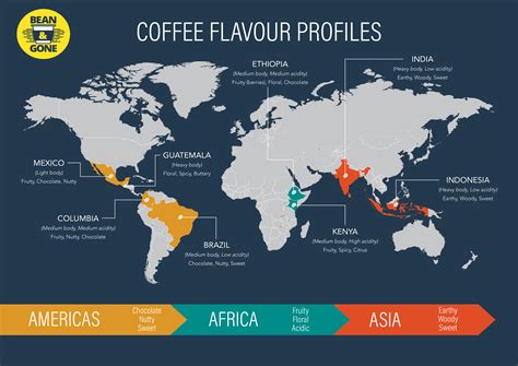 Coffee Flavour Profiles - Bean&Gone | กาแฟ