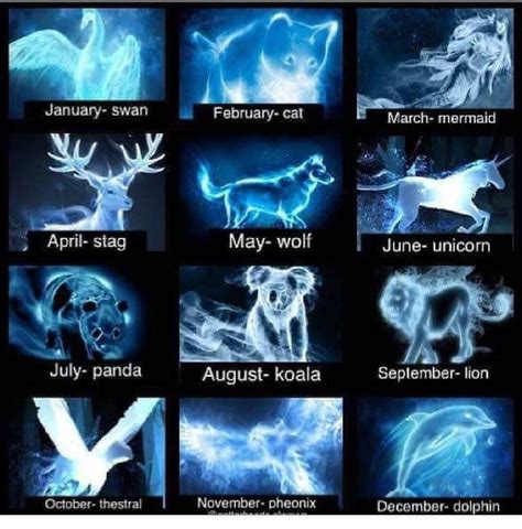 HARRY POTTER™ on Instagram: “What's your patronus? Let me know in the comments 👇 ⋆ ⋆ ⋆ ⋆ ⋆ ...