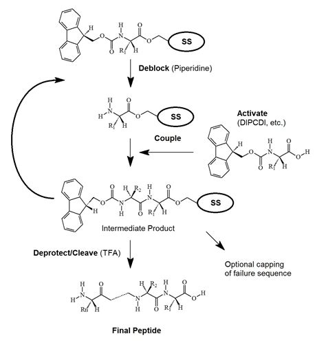 solid phase peptide synthesis