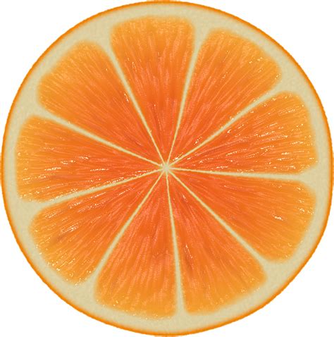 Free photo: Orange Slice - Yellow, Skin, Orange - Free Download - Jooinn