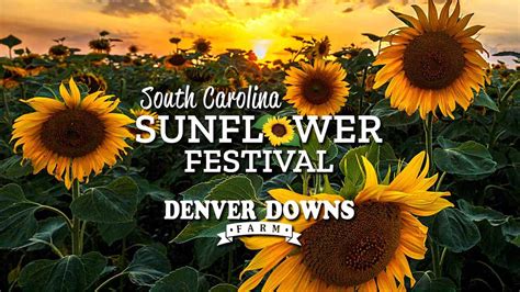 SC Sunflower Festival