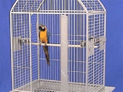 Best 6 Large Macaw Cages All Your Bird Pets Will Love In 2022