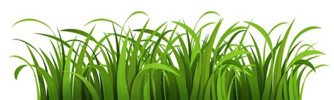 Grass PNG Image - PurePNG | Free transparent CC0 PNG Image Library