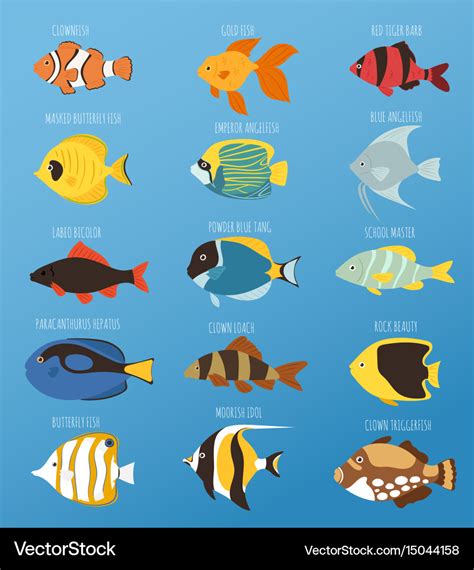 Exotic tropical fish race different breed colors Vector Image