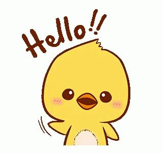 Hello Hi GIF - Hello Hi Duck - Discover & Share GIFs