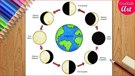 Phases Of The Moon Diagram To Label