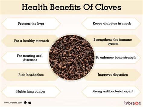 Benefits of Cloves And Its Side Effects | Lybrate