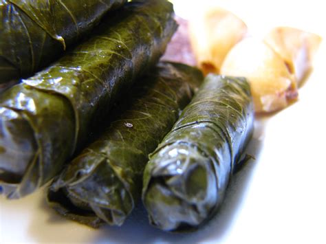 Stuffed grape leaves - factstiklo