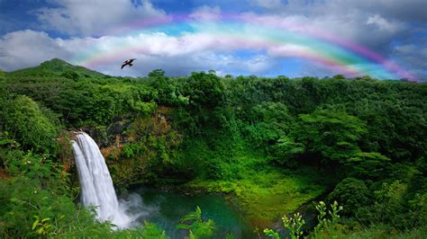 Download Greenery Rainbow Hawaii Nature Waterfall HD Wallpaper