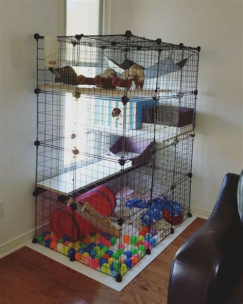 Cool Diy Ferret Cage Ideas 2022