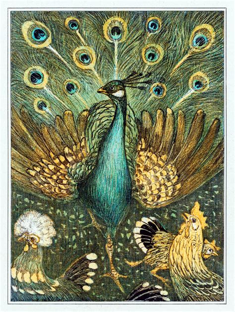 Vintage Illustration Of Peacock Chicken Free Stock Photo - Public Domain Pictures