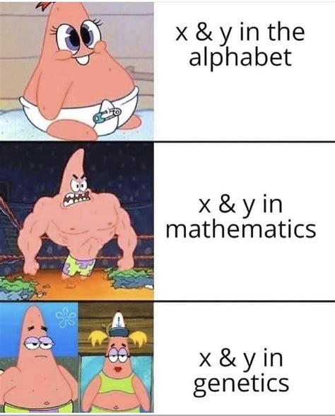 I don't miss algebra, that's for sure : r/memes