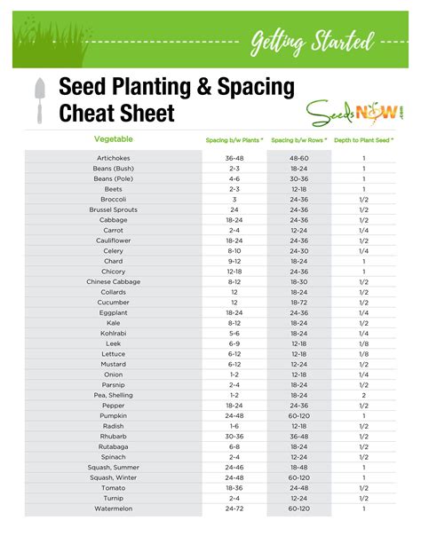 seed planting and spacing chart for the garden