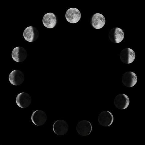 Phases of the Moon. Moon lunar cycle. Art Print by Allexxandarx - X-Small in 2020 | Moon phases ...