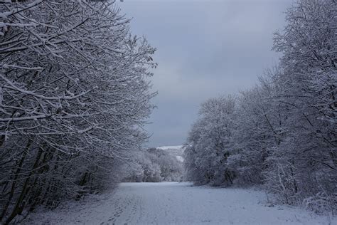 winter landscape idyll Free Photo Download | FreeImages