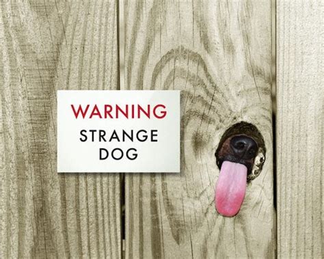 19 Funny Dog Signs That Will Make Every Dog Lover Smile