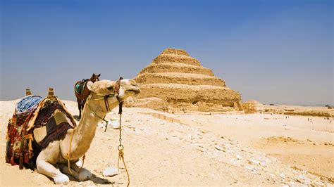 Saqqara | | Sights - Lonely Planet