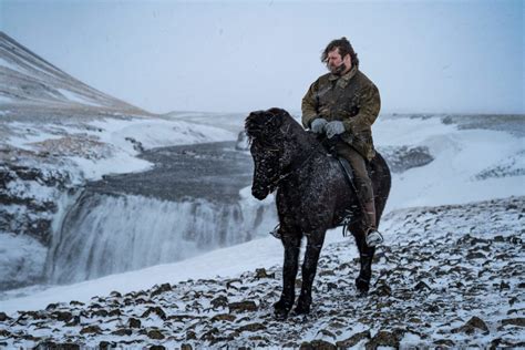 Sustainable Horseback Riding In Iceland Near Reykjavik with the Best Icelandic Horses