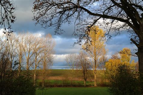 Landscape, Nature, Autumn Mood, Idyll, tree, autumn free image | Peakpx