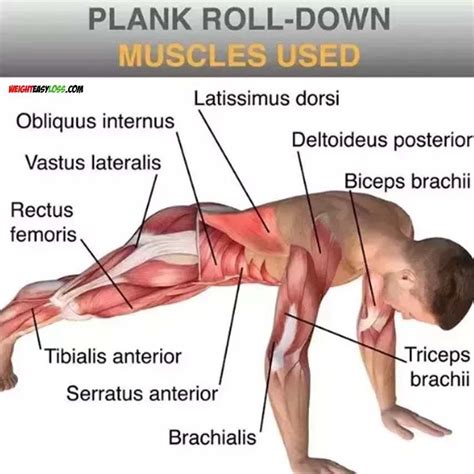 How to Do Perform Plank Properly | Video & Guide