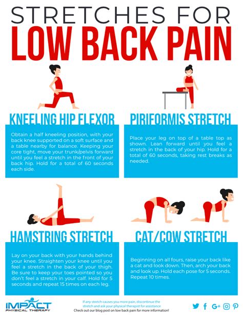 Hip And Lower Back Pain Stretches