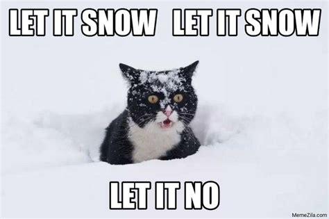 Let it snow Let it snow Let it no cat meme from Let It Snow Memes Download - MemeZila.com in ...