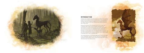 Harry Potter: Creatures | Book by Insight Editions | Official Publisher Page | Simon & Schuster