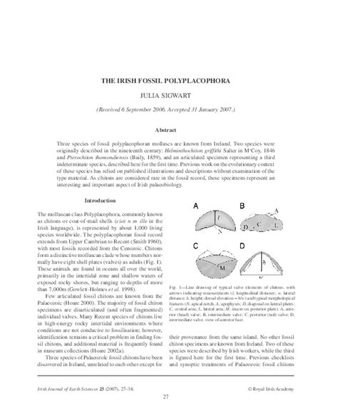 (PDF) The Irish fossil polyplacophora