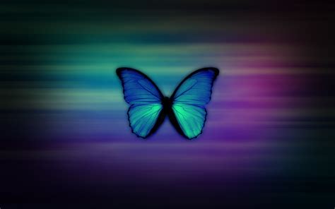 🔥 Download Butterfly Wallpaper HD by @kimberlydavis | Butterfly Free Wallpapers, Butterfly Free ...