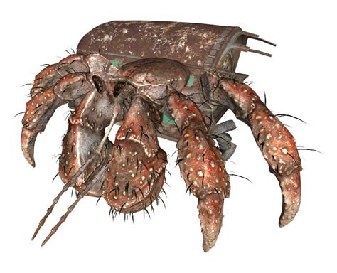 Hermit crab (Far Harbor) | Fallout Wiki | FANDOM powered by Wikia