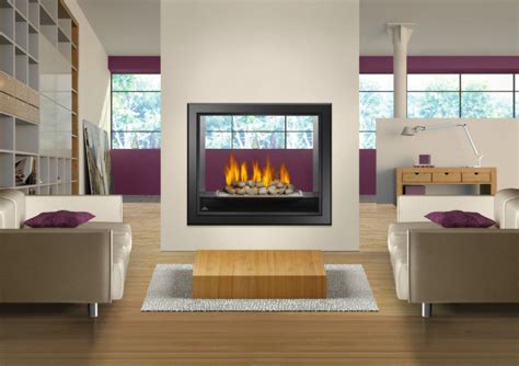 NAPOLEON HD 81 SEE - THRU GAS FIREPLACE