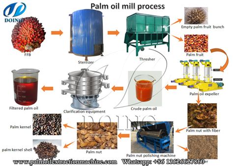 Palm oil extraction process_FAQ