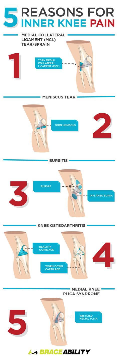 Are you feeling pain in your inner or medial knee? Are you wondering what your knee pain ...