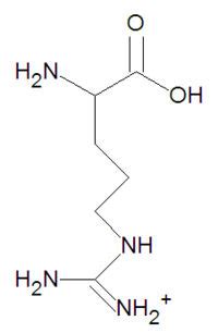 Arginine - encyclopedia article - Citizendium