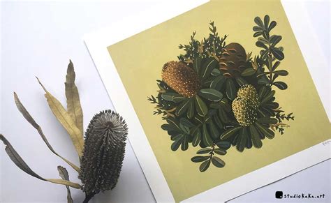 Green Banksia Art Print | Australian Native Flower | Giclee Fine Art Print