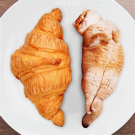 "Cat croissant" by Cats In Food. - relax it's only art