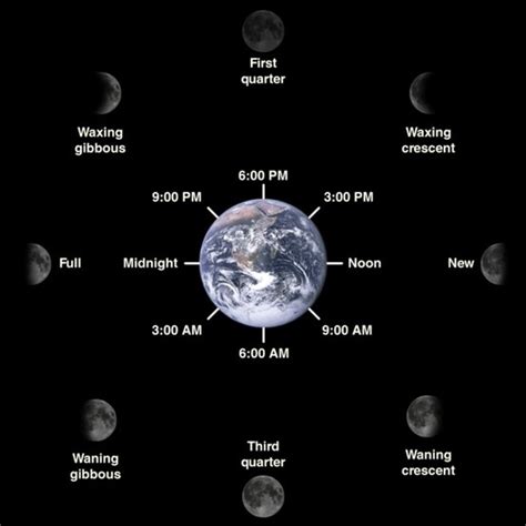 129 best images about Moon phases on Pinterest | Best Cut and paste, Activities and The sun ideas