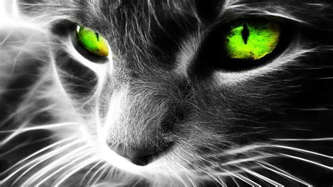 Short-fur gray cat 3D wallpaper, cat, Fractalius, green eyes HD wallpaper | Wallpaper Flare