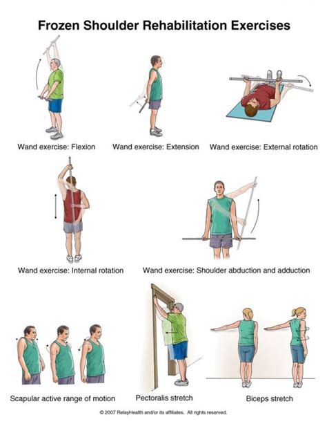 Range Of Motion Exercises For Shoulder Pain – Online degrees