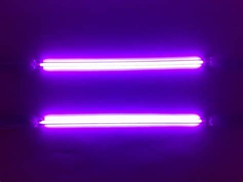 Pin by Payton Phillips on Album Inspiration | Purple neon lights, Purple neon, Neon lighting