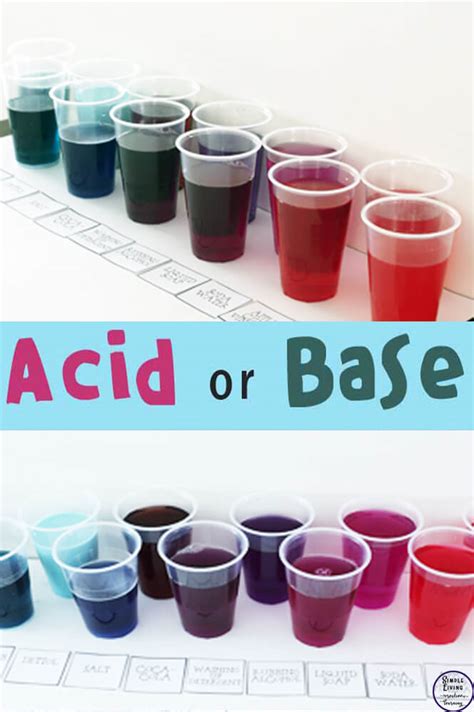 Acid or Base Experiment - Simple Living. Creative Learning