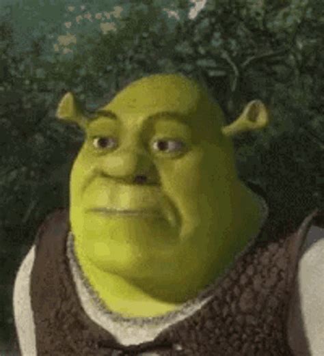 Shrek 2 Fiona Gif