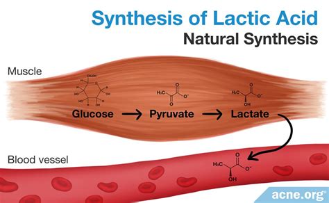 What Are the Chemical Structure of Lactic Acid and Lactate - Acne.org